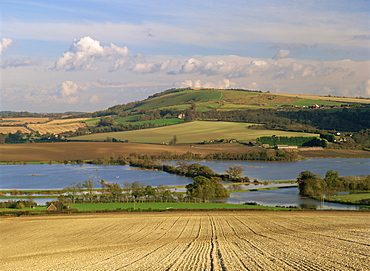 Arun Valley in food, with South Downs beyond, Bury, Sussex, England, United Kingdom, Europe