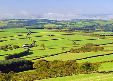 Fields on edge of Exmoor National Park, Exmoor from Shoulsbarrow Common, Challacombe, Devon, England