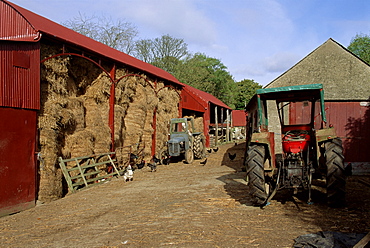 A farm, near Avoca, County Wicklow, Leinster, Eire (Republic of Ireland), Europe