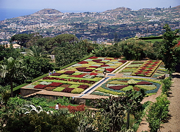 Botanical Gardens, Quinta de Bom Sucesso, Funchal, Madeira, Portugal, Europe