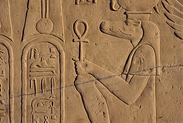 Detail of relief carving of the crocodile god, Kom Ombo, Egypt, North Africa, Africa