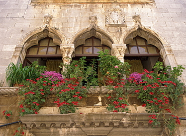 Close-up of ornate window arches with pots of oxalis and geraniums on the balcony at Porec, Croatia, Europe