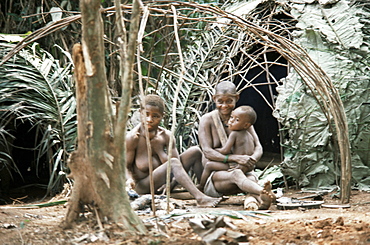 Pygmy women and children outside huts, Central African Republic, Africa