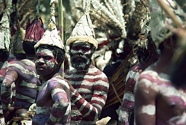 Tribal men, Goroka, Eastern Highlands, Papua New Guinea, Pacific Islands