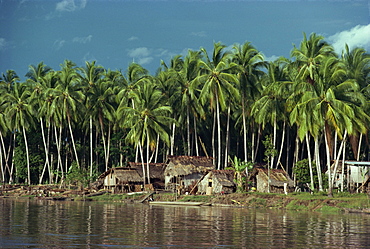 A riverside village beneath palm trees in the Gulf Province of Papua New Guinea, Pacific Islands, Pacific