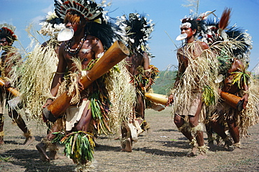 Dancers from Daru island carrying kundu drums at a sing-sing, Port Moresby, Papua New Guinea, Pacific