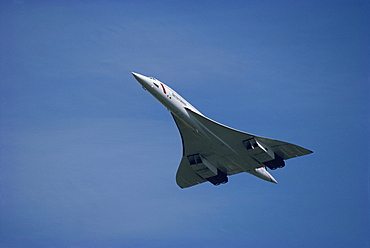 Concorde in flight