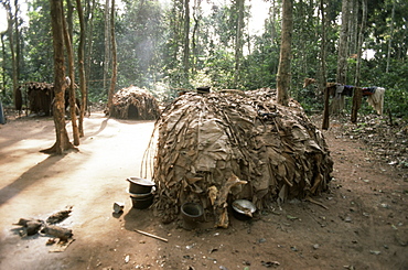 Primitive huts of pygmy village in forest near Bagandou, Central African Republic, Africa