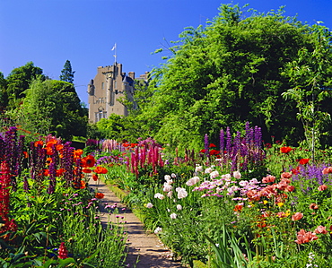 Herbaceous borders in the gardens, Crathes Castle,  Grampian, Scotland, UK, Europe