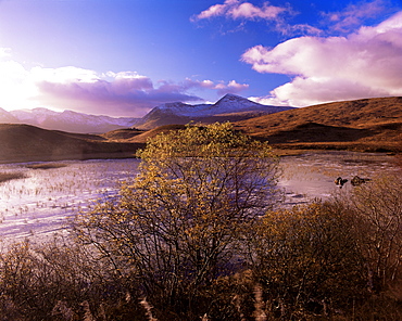 Rannoch Moor, Black Mount, Strathclyde, Scotland, United Kingdom, Europe