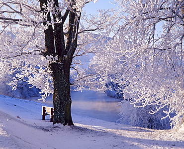 Winter scene beside the River Tay, Aberfeldy, Perthshire, Scotaland, UK 