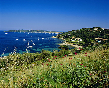 Cap St. Pierre and Baie des Canebiers, Cote d'Azur, Mediterranean coast, Provence, France, Europe