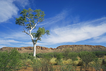 Landscape in the West MacDonnell Ranges near Alice Springs in the Northern Territory, Australia, Pacific