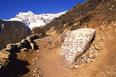 Mani stones printed with Tibetan prayers beside a track in Solu Khumbu, Nepal, Asia