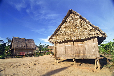 Exterior of thatched houses in Pablo's second village, of the Matses Indian tribe, in the Galvez River area of the Amazon Basin in Peru, South America