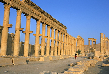 Ruins of the colonnade, Palmyra, UNESCO World Heritage Site, Syria, Middle East