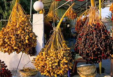 Dates for sale, Palmyra, Syria, Middle East