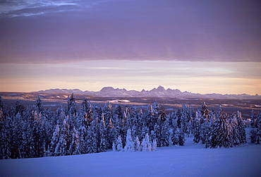 Sunset on Grand Tetons from Two Tops, West Yellowstone, Montana, United States of America (U.S.A.), North America