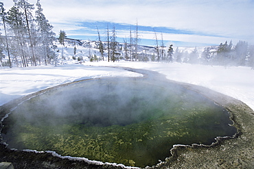 Geysers in Yellowstone Park, West Yellowstone, Montana, United States of America (U.S.A.), North America