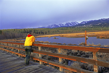 Bird sanctuary at Potter's Marsh, Anchorage, Alaska, United States of America, North America