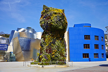 Guggenheim Museum, Bilbao, Euskadi, Spain, Europe 