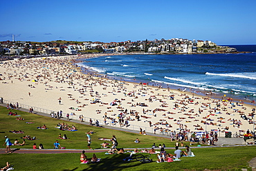 Bondi Beach, Sydney, New South Wales, Australia, Pacific