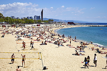 Barcelona Beach, Barcelona, Catalonia, Spain, Europe