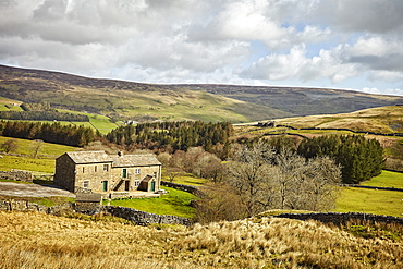 Swaledale, Yorkshire Dales, North Yorkshire, Yorkshire, England, United Kingdom, Europe