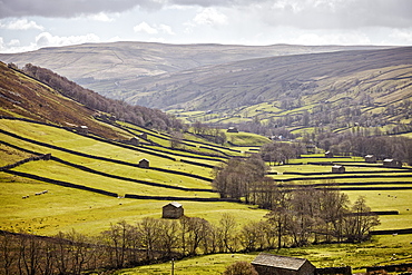 Swaledale, North Yorkshire, Yorkshire, England, United Kingdom, Europe