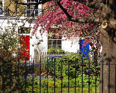 Markham Square, Chelsea, London, England, UK