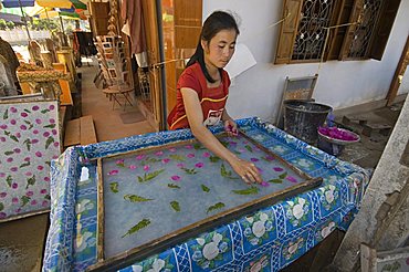 Making paper in village near Luang Prabang, Laos, Indochina, Southeast Asia, Asia