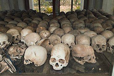 Some of the 9000 skulls, The Killing Fields, Choeung Ek, Phnom Penh, Cambodia, Indochina, Southeast Asia, Asia