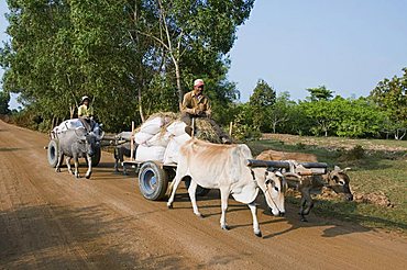 Ox cart, Cambodia, Indochina, Southeast Asia, Asia