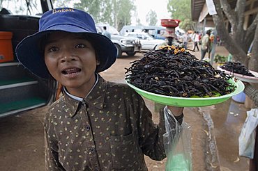 Cooked spiders for eating in market, Cambodia, Indochina, Southeast Asia, Asia