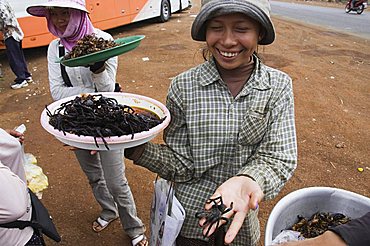 Cooked spiders for eating in market, Cambodia, Indochina, Southeast Asia, Asia