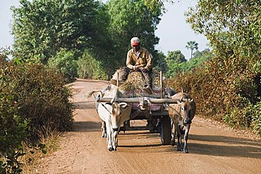 Ox cart, Cambodia, Indochina, Southeast Asia, Asia