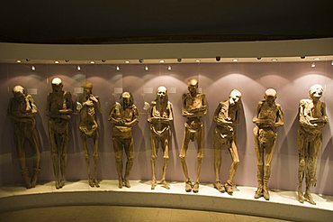 The Mummy Museum (Museo de las Momias) in Guanajuato, a World Heritage Site, Guanajuato, Guanajuato State, Mexico, North America