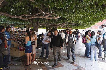 In the main square or Jardin de la Union in Guanajuato, a UNESCO World Heritage Site, Guanajuato State, Mexico, North America