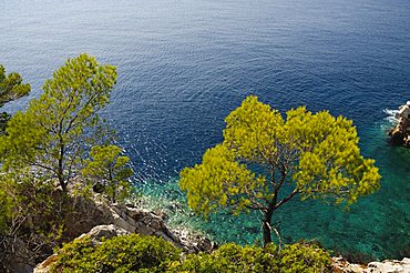 Near Agnotas, Skopelos, Sporades Islands, Greek Islands, Greece, Europe