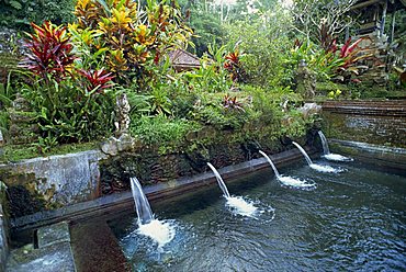 Water temple, Bali, Indonesia, Southeast Asia, Asia