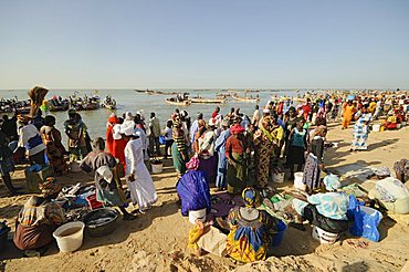 Mbour Fish Market, Mbour, Senegal, West Africa, Africa