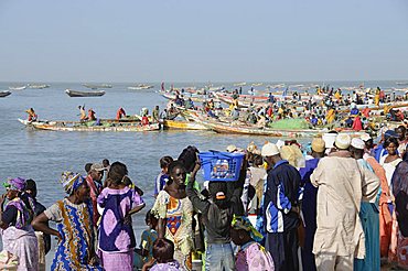 Mbour Fish Market, Mbour, Senegal, West Africa, Africa