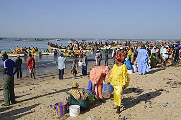 Mbour Fish Market, Mbour, Senegal, West Africa, Africa