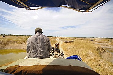 Horse and cart on track, Sine Saloum Delta, Senegal, West Africa, Africa