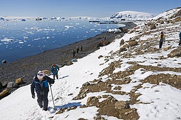 Brown Bluff, Antarctic Peninsula, Antarctica, Polar Regions