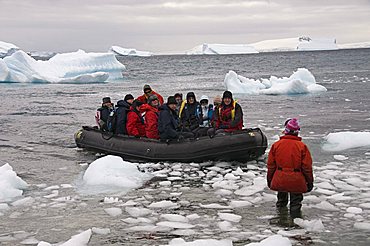 Cuverville Island, Antarctic Peninsula, Antarctica, Polar Regions