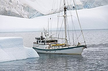 Sailing yacht and iceberg, Errera Channel, Antarctic Peninsula, Antarctica, Polar Regions