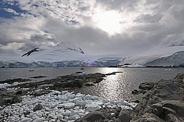 Jougla Point near Port Lockroy, Antarctic Peninsula, Antarctica, Polar Regions