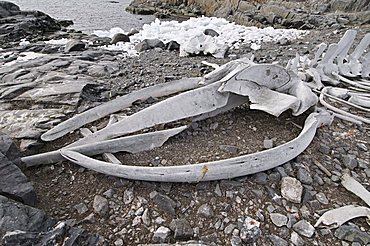 Old whale skeleton, Jougla Point near Port Lockroy, Antarctic Peninsula, Antarctica, Polar Regions