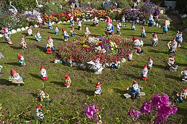 Gnomes, Port Stanley, Falkland Islands, South America